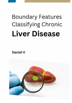 Boundary Features Classifying Chronic Liver Disease