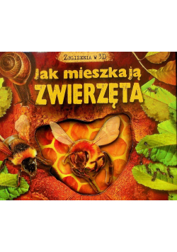 Jak mieszkają zwierzęta