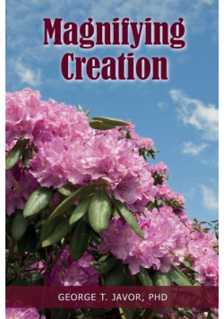 Magnifying Creation