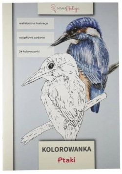 Kolorowanka Ptaki