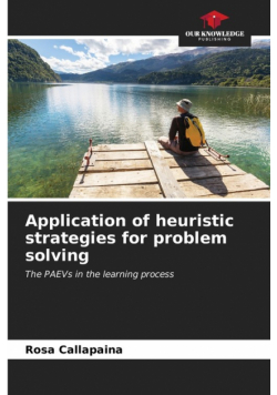 Application of heuristic strategies for problem solving