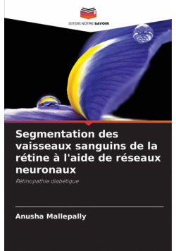 Segmentation des vaisseaux sanguins de la rétine à l'aide de réseaux neuronaux
