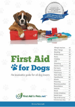 First Aid for Dogs
