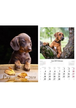Kalendarz 2019 Psy 13 planszowy RADWAN