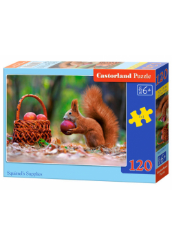Puzzle Squirrel's Supplies 120