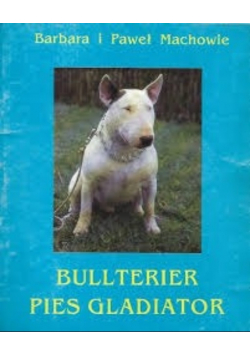 Bulterier pies gladiator