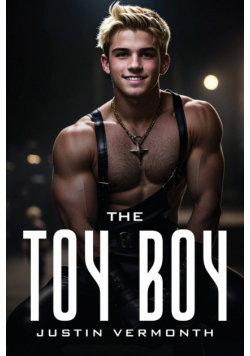 The toy boy