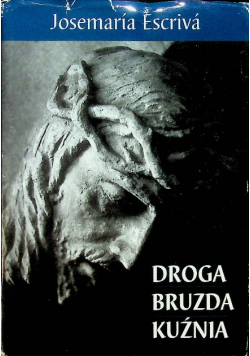 Droga Bruzda Kuźnia