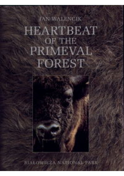 Heartbeat of the Primeval Forest