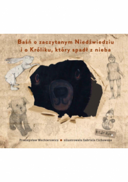 Baśń o zaczytanym Niedźwiedziu i o Króliku