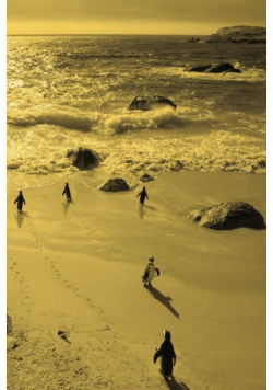 Alive! little penguin friends - Yellow duotone - Photo Art Notebooks (6 x 9 series)