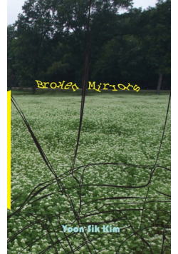 Broken Mirrors