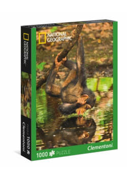 Puzzle National Geographic Chimpanzee 1000