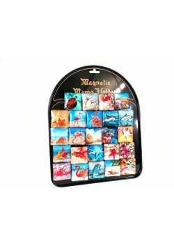 Magnesy morskie (24szt)