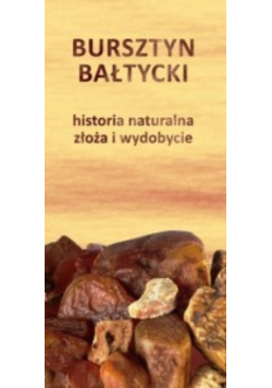 Bursztyn bałtycki historia naturalna złoża i wydobycie