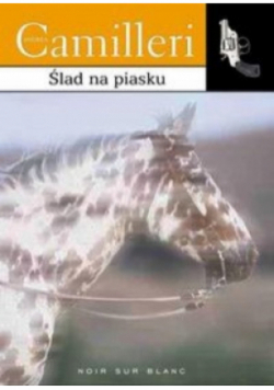 Ślad na piasku