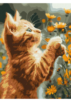 Malowanie po numerach - Rudy puszystek 30x40cm