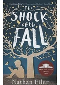 The shock of the fall