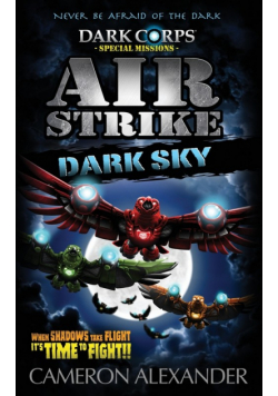 Air Strike