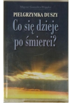 Pielgrzymka duszy. Co się dzieje po śmierci?