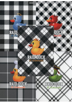 Zeszyt A5 Top-2000 w kratkę 16 kartek Raid Duck 20 sztuk mix