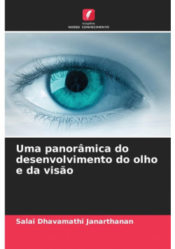 Uma panorâmica do desenvolvimento do olho e da visão