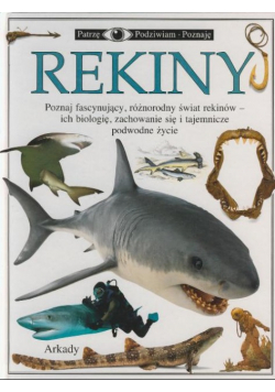 Rekiny poznaj fascynujący różnorodny świat rekinów