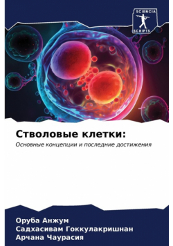 Стволовые клетки