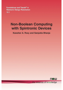 Non-Boolean Computing with Spintronic Devices