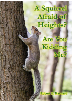 A Squirrel Afraid of Heights? Are You Kidding Me?
