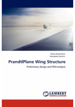 PrandtlPlane Wing Structure
