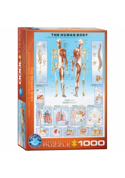 Puzzle 1000 The Human Body 6000-1000