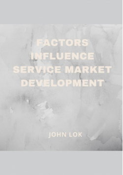 Factors Influence Service Market Development