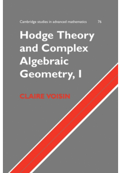 Hodge Theory and Complex Algebraic Geometry I