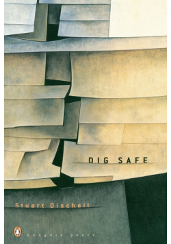 Dig Safe