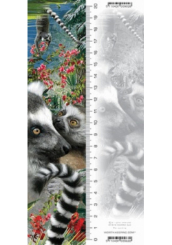 Zakładka 3D Lemur