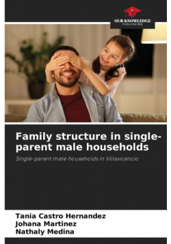 Family structure in single-parent male households
