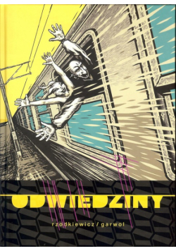Odwiedziny