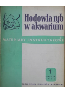 Hodowla ryb w akwarium