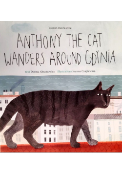 Anthony the cat wanders around Gdynia