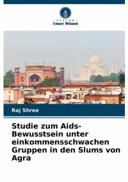 Studie zum Aids-Bewusstsein unter einkommensschwachen Gruppen in den Slums von Agra
