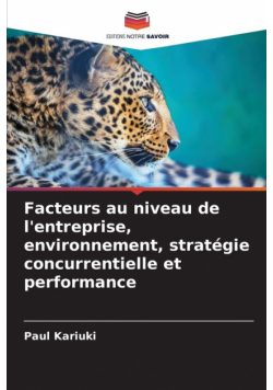 Facteurs au niveau de l'entreprise, environnement, stratégie concurrentielle et performance