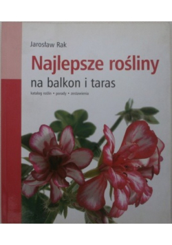 Najlepsze rośliny na balkon i taras