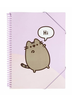 Skoroszyt A4 z gumką Pusheen CFA405 30 kartek