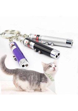 Brelok Laser zabawka dla kota