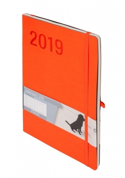 Kalendarz 2019 Minimalizm B5 Pomarańcz TNS ANTRA
