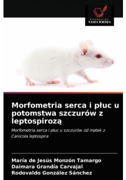 Morfometria serca i płuc u potomstwa szczurów z leptospirozą