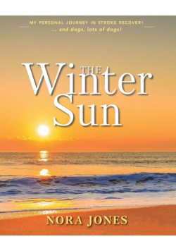 The Winter Sun