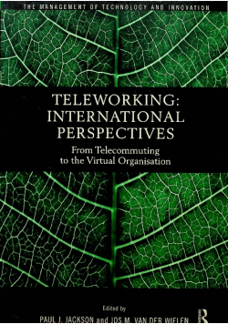 Teleworking International Perspectives