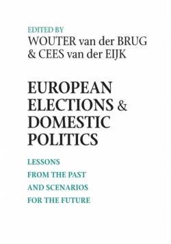 European Elections and Domestic Politics